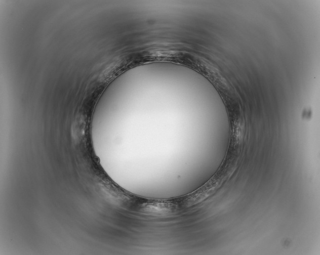 X0000090760567200708101750