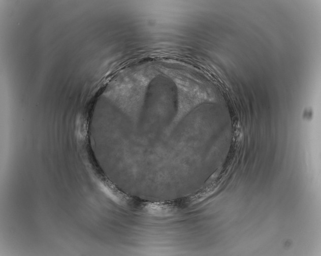 X0000090760568200708101750