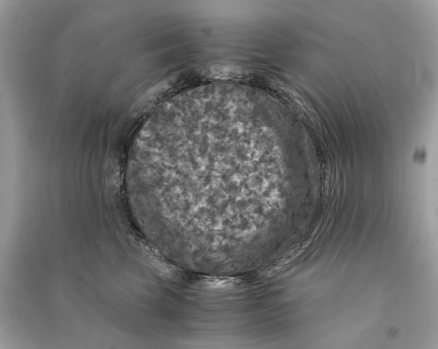 X0000090760569200708101750