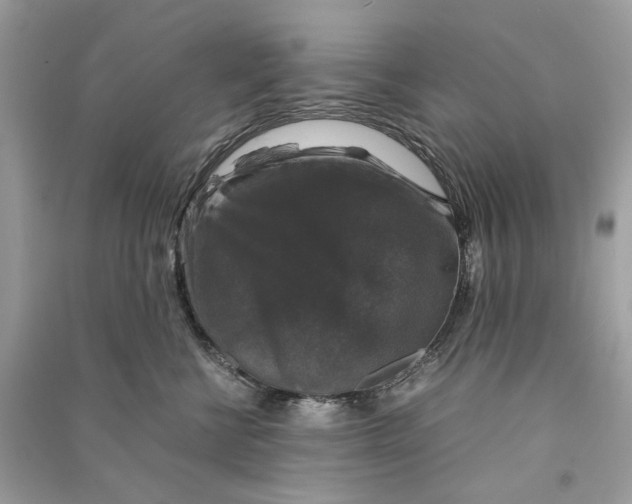 X0000090760570200708101750