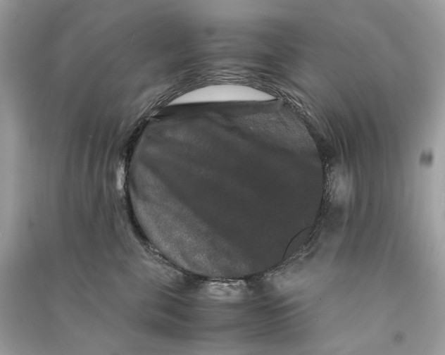 X0000090760571200708101750