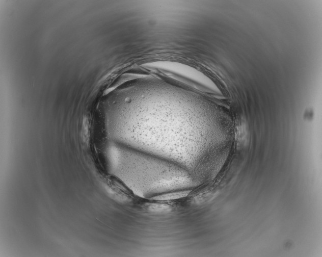 X0000090760572200708101750