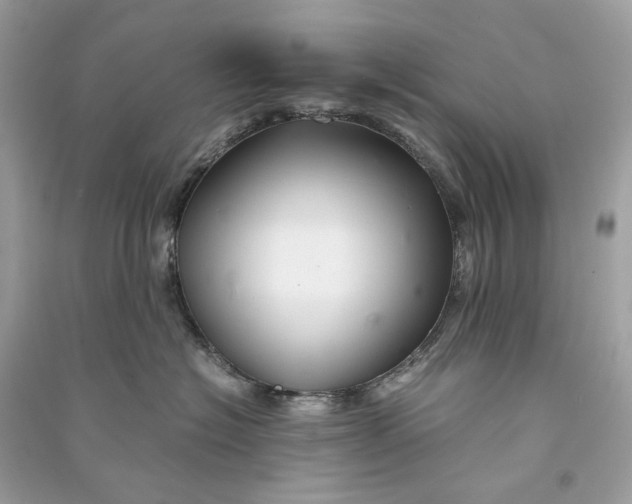 X0000090760574200708101750