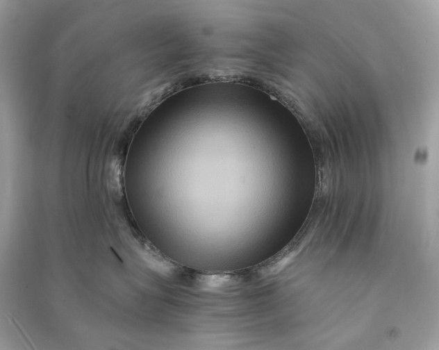 X0000090760575200708101750