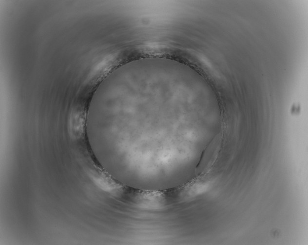 X0000090760576200708101750