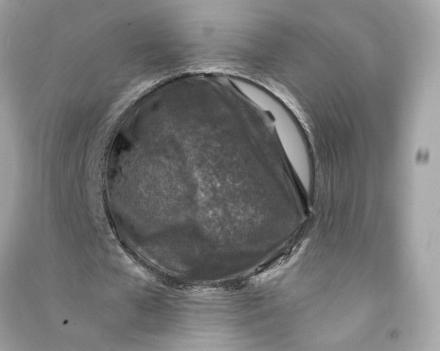 X0000090760577200708101749