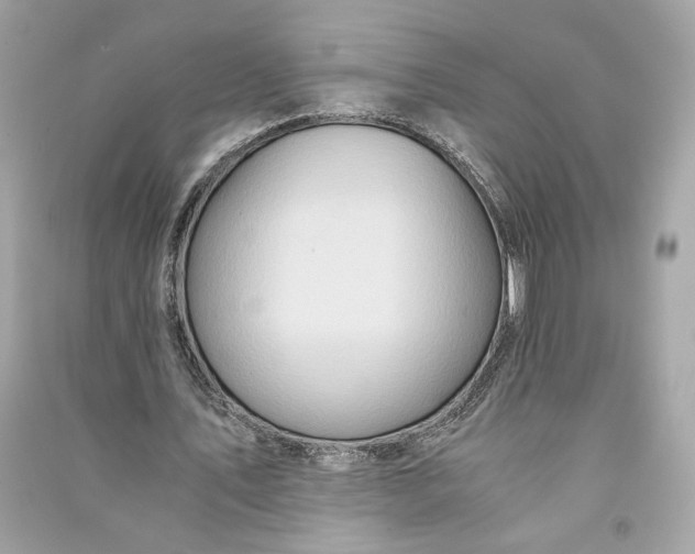 X0000090760579200708101749