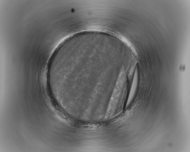 X0000090760580200708101749