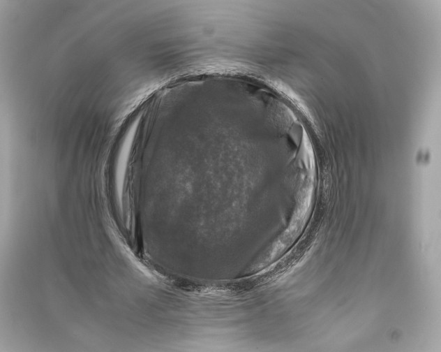 X0000090760581200708101749