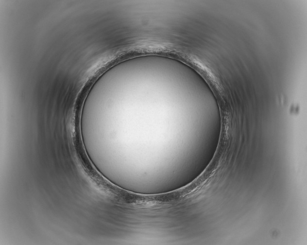 X0000090760582200708101749