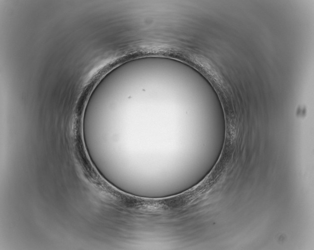 X0000090760583200708101749