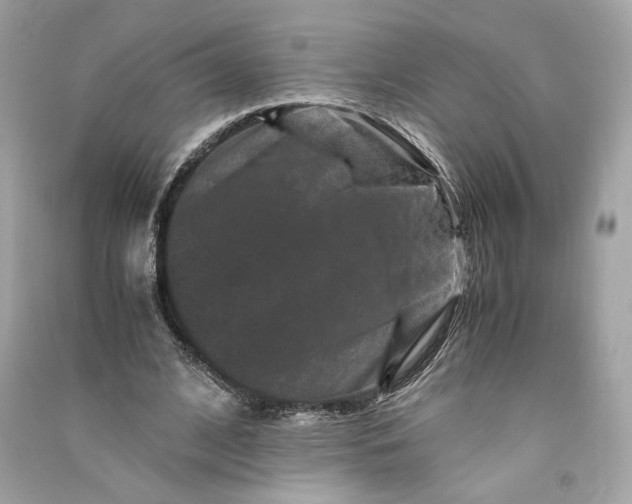 X0000090760584200708101749