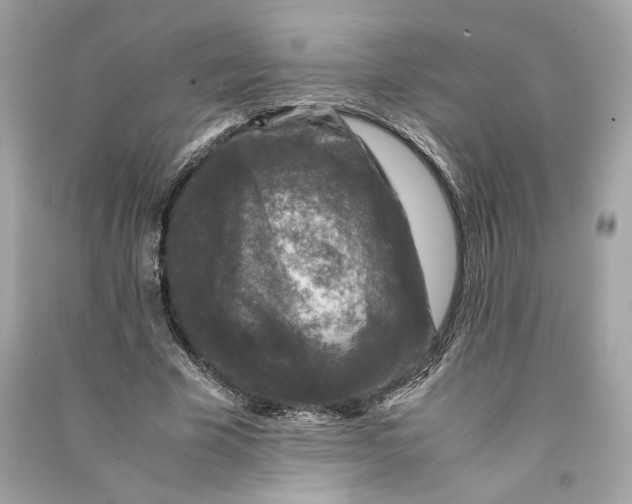 X0000090760585200708101749