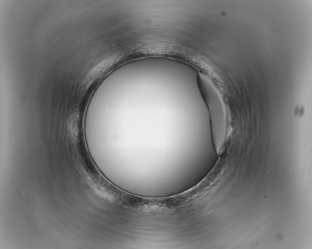 X0000090760586200708101749