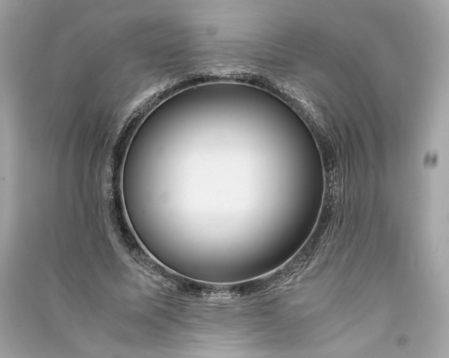 X0000090760587200708101749