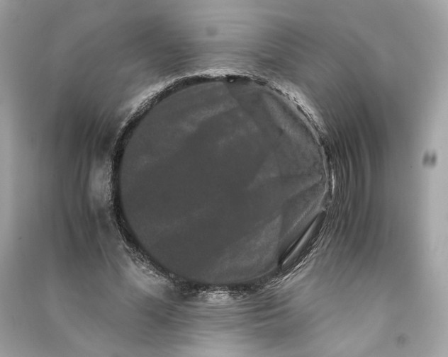 X0000090760588200708101749