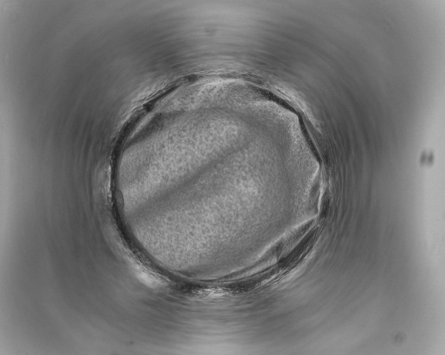 X0000090760589200708101749