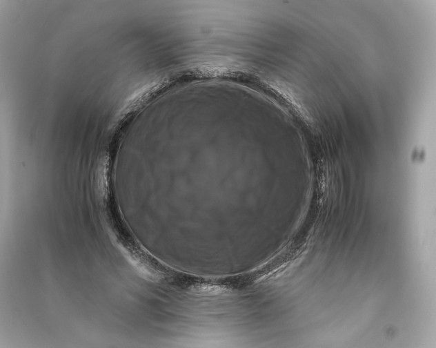 X0000090760590200708101749