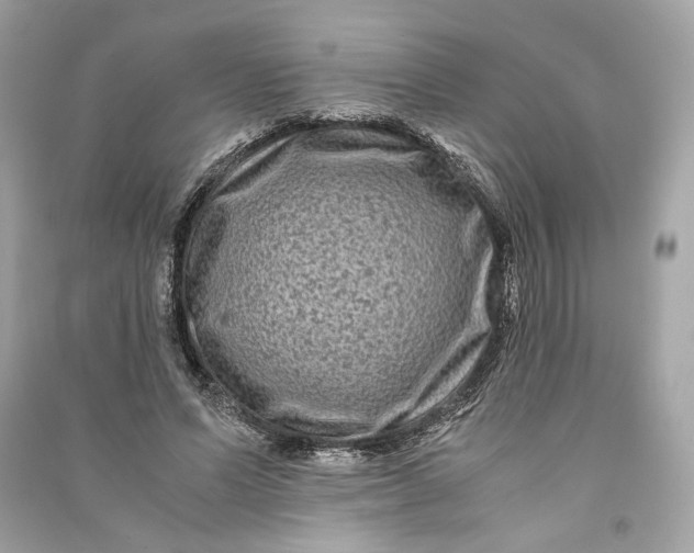 X0000090760591200708101749