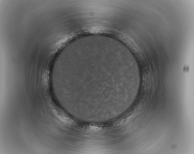 X0000090760592200708101749