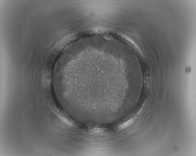 X0000090760593200708101749