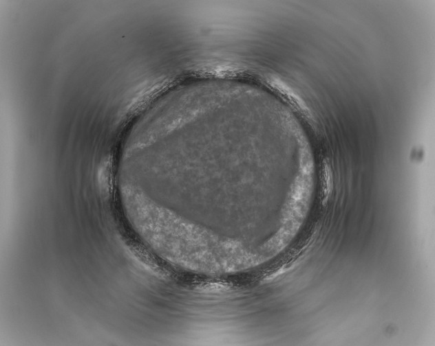 X0000090760594200708101749