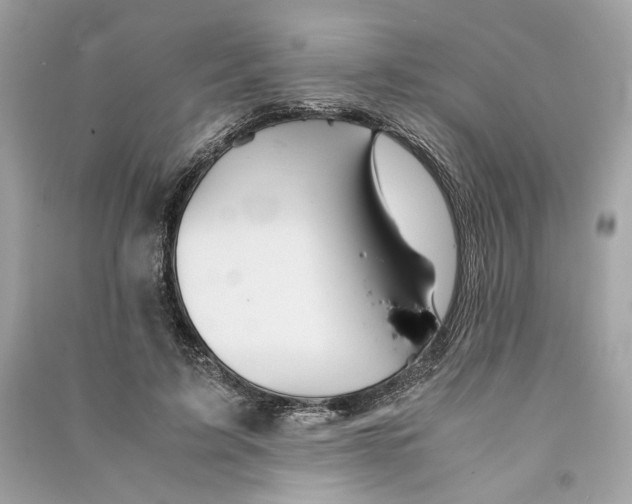 X0000090760595200708101749