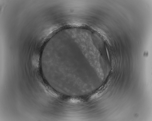 X0000090760596200708101749