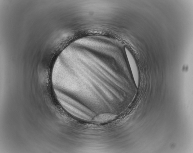 X0000090760597200708101749