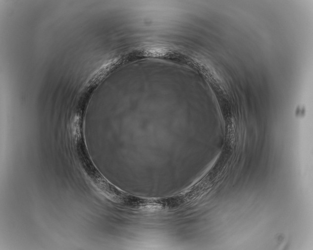 X0000090760598200708101749