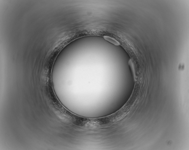 X0000090760599200708101749