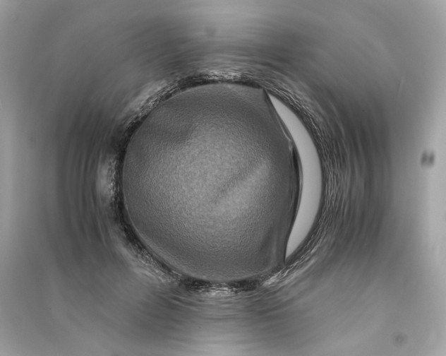 X0000090760600200708101749