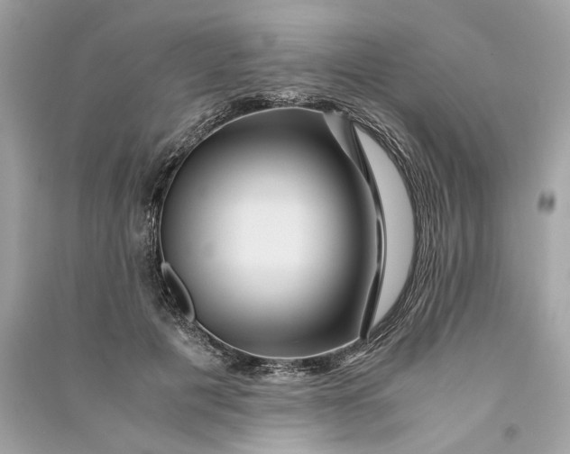 X0000090760601200708101749