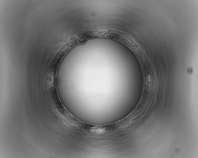 X0000090760602200708101749