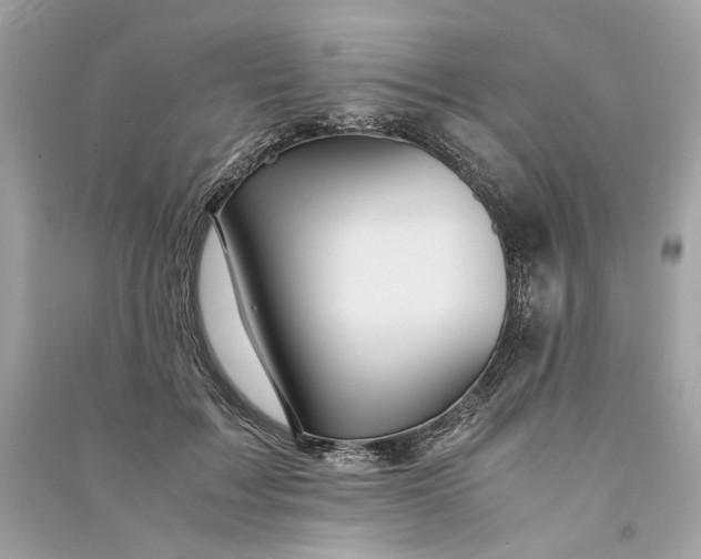 X0000090760603200708101749