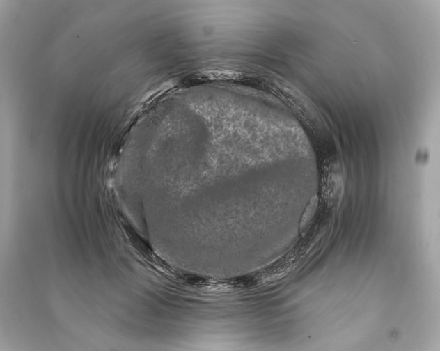 X0000090760604200708101749