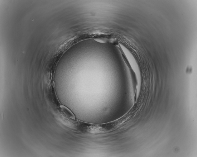 X0000090760605200708101749