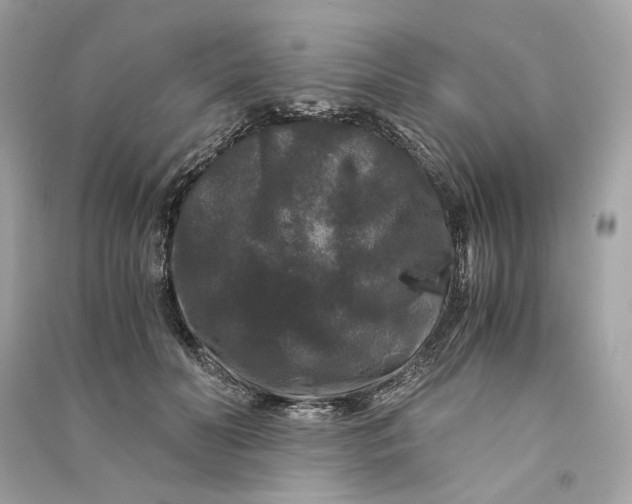 X0000090760606200708101749