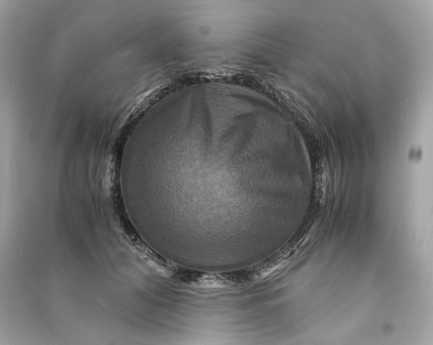 X0000090760608200708101749