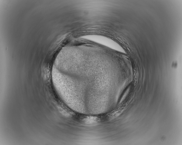 X0000090760609200708101749