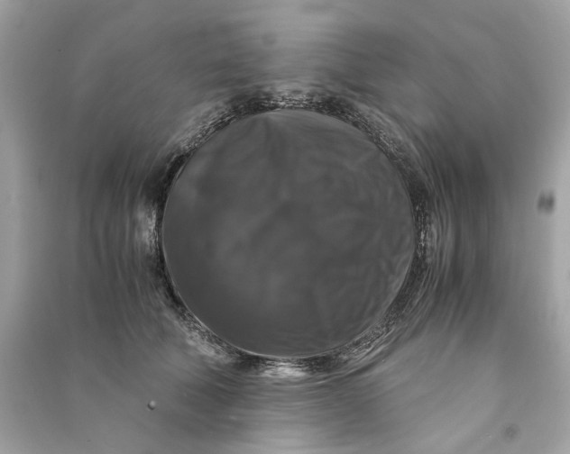 X0000090760610200708101749