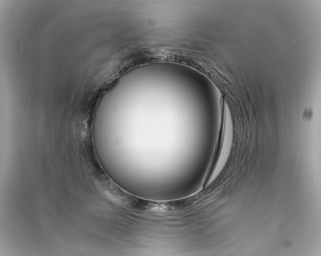 X0000090760611200708101749