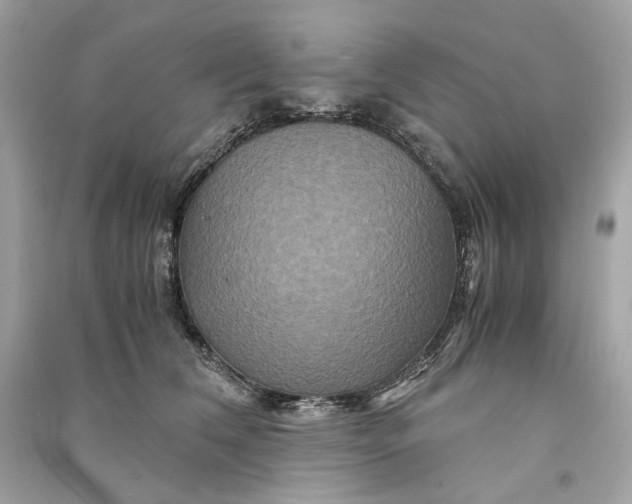 X0000090760612200708101749