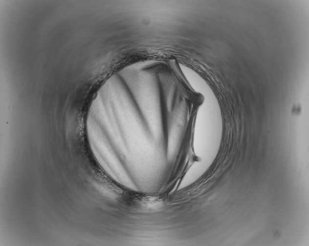 X0000090760613200708101749