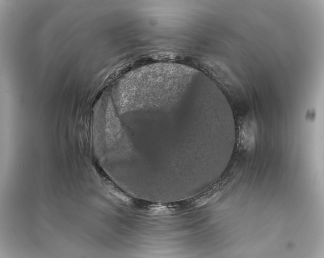 X0000090760616200708101749