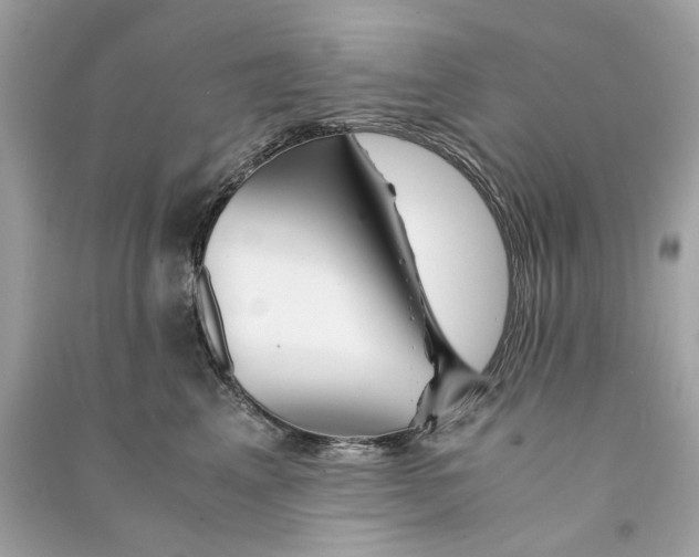 X0000090760617200708101749