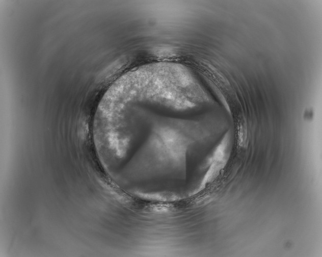 X0000090760618200708101749