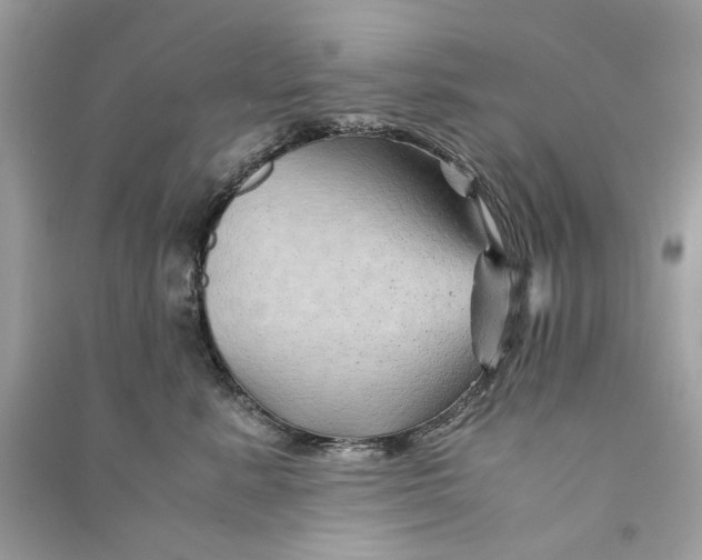 X0000090760619200708101749