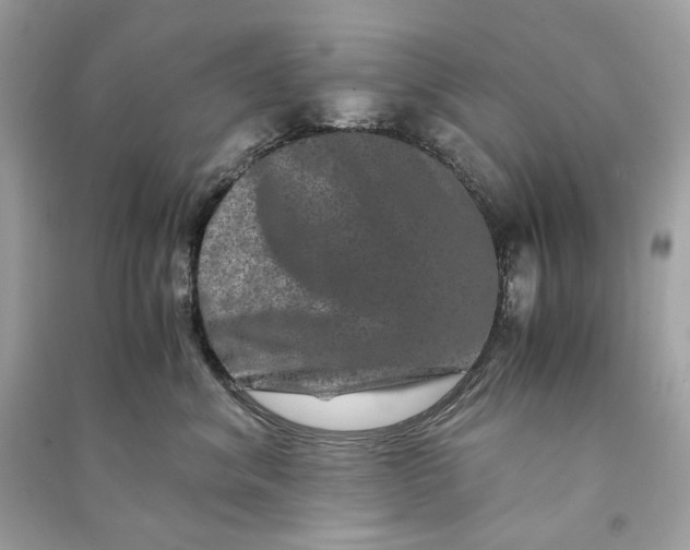 X0000090760620200708101749