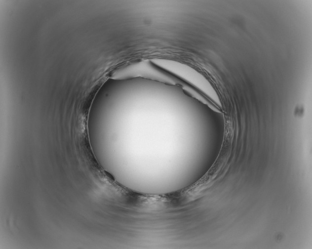 X0000090760621200708101749